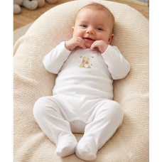 KW110: Baby DTF Printed All In one Sleepsuit- Honey Bear (3-12 months)